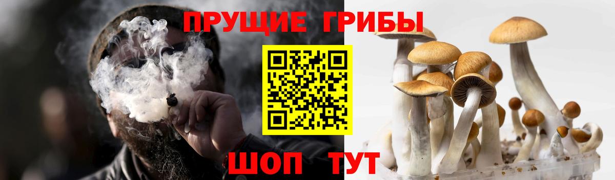 Псилоцибиновые грибы мицелий  Галлюциногенные грибы прущие грибы  Симферополь  Вход с VPN 